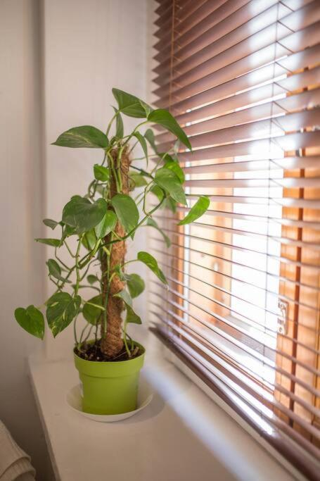 A Lovely Apartment Near Railway Station And Arena. Tampere Esterno foto