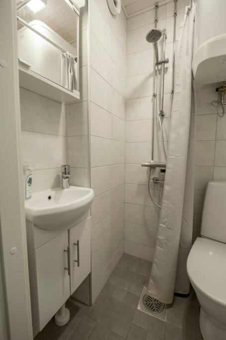 A Lovely Apartment Near Railway Station And Arena. Tampere Esterno foto